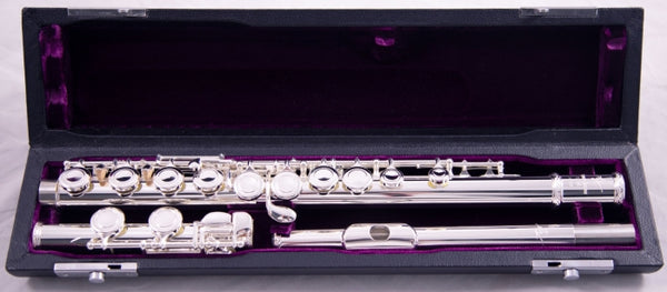 Trevor James 10XE-P Flute Outfit - CS 925 Silver Lip Plate and Riser