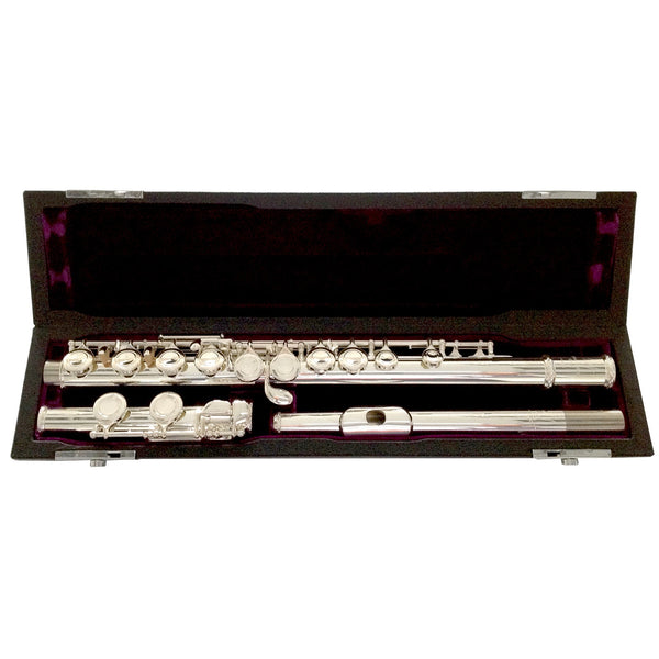 USED TREVOR JAMES 10X Student flute outfit
