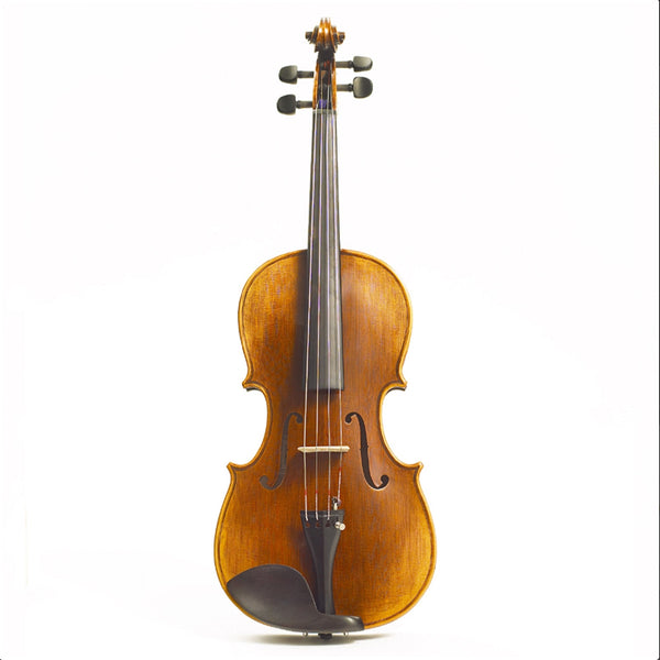 Stentor Arcadia Violin outfit.