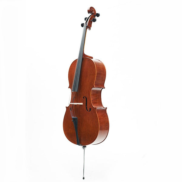 Elysia cello 'English model'