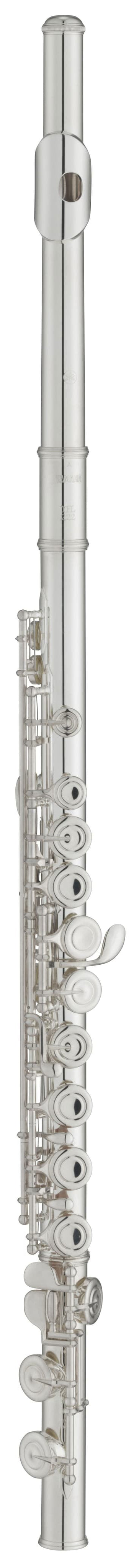 Silver flute on a white background
