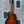 Tanglewood TWX6CEK All Koa Grand Auditorium. Autumn Burst Gloss.