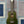 Tanglewood TWT1FG Soprano Ukulele. Forest Green.