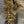 Used Yamaha YAS275 Alto Saxophone Outfit