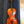 USED 4/4 size Stentor Student Series Violin