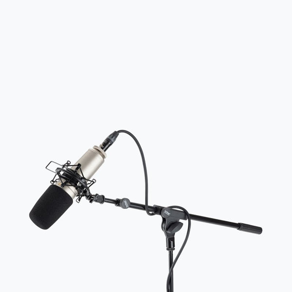 Microphone Shock Mount. Large.