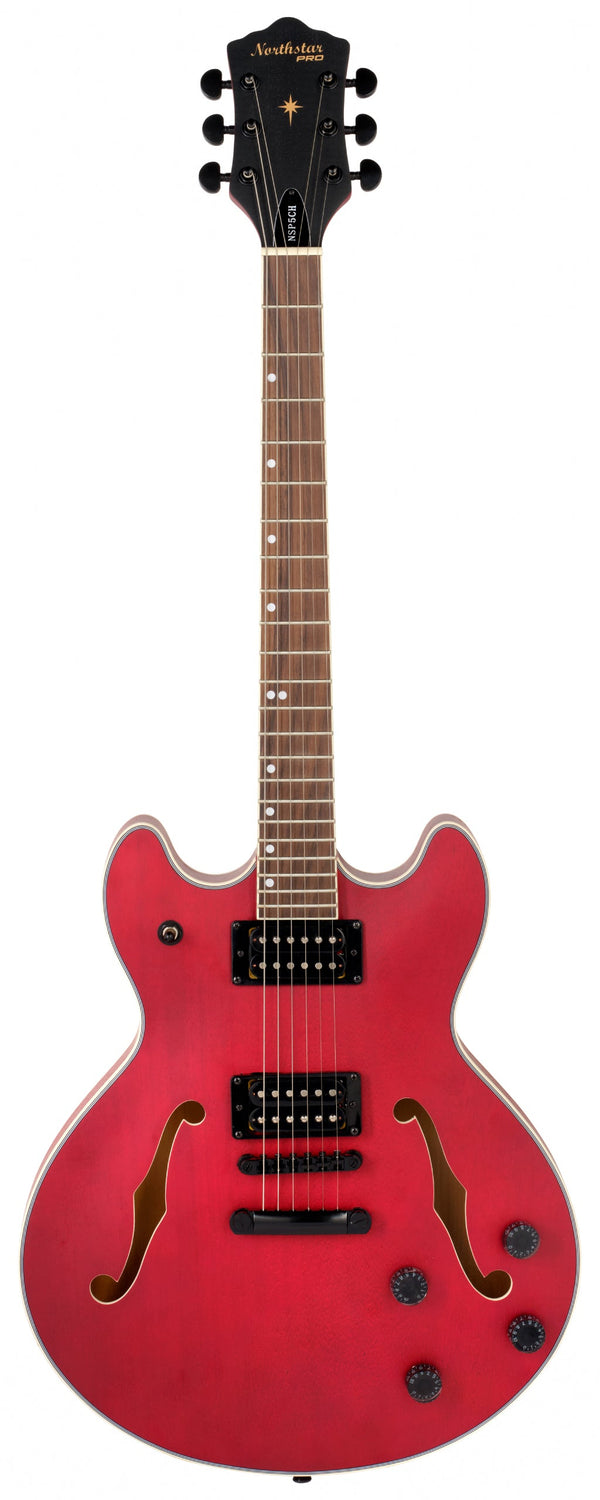 Pro Series Hollow body Electric Guitar in Matt Cherry