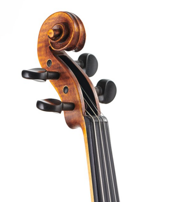 Messina Violin