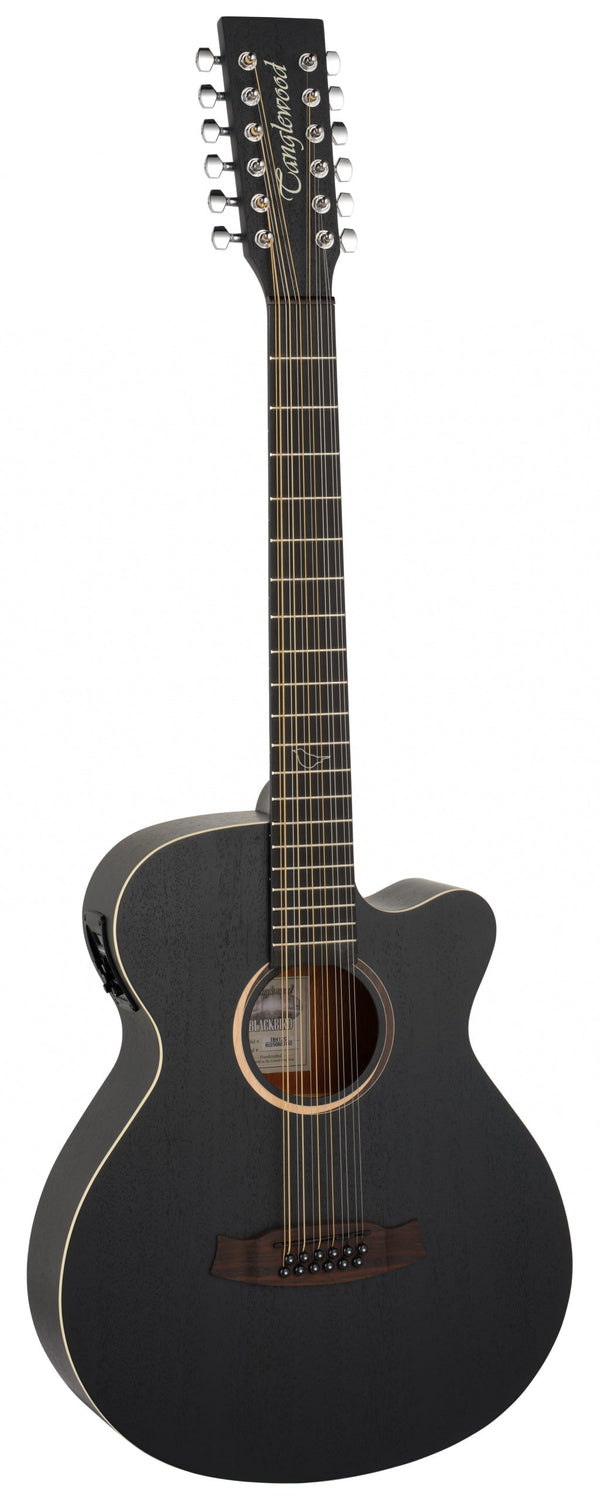 Blackbird Series 12 String Electro Acoustic Full Size Super Folk