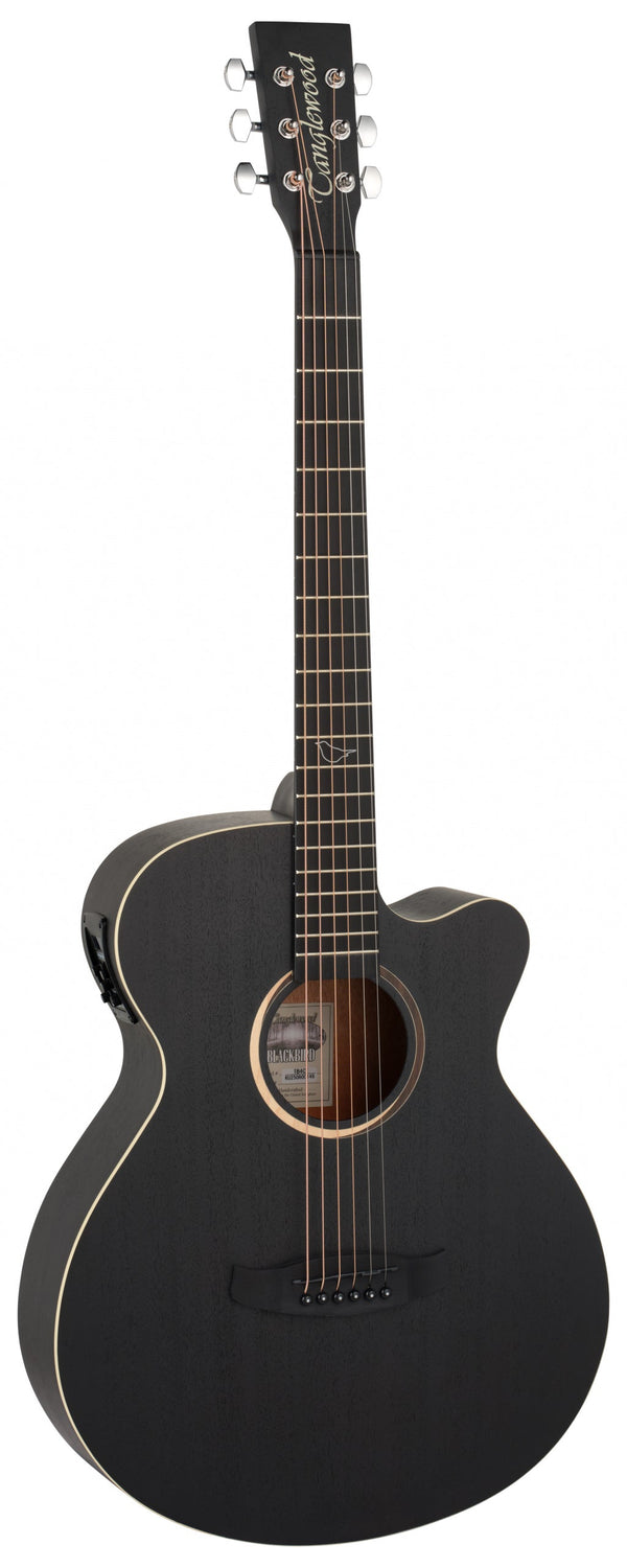 Blackbird Series Electro Acoustic Full Size Super Folk Guitar