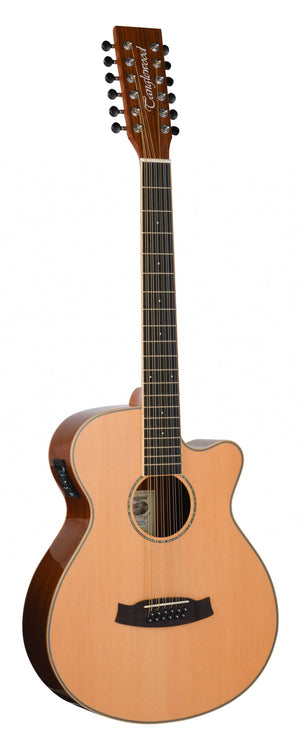 Perfect first 12 string from Tanglewood