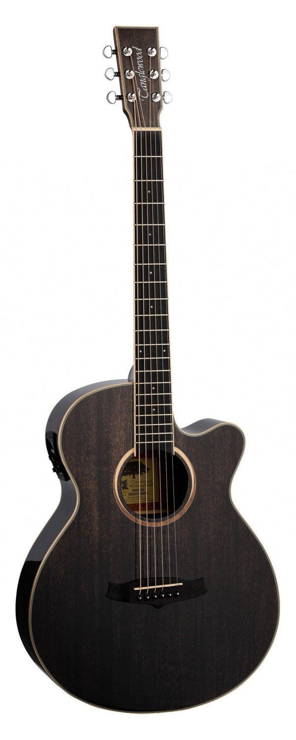 Winterleaf Series Super Folk with cutaway Electro Acoustic guitar. Black Shadow Gloss.