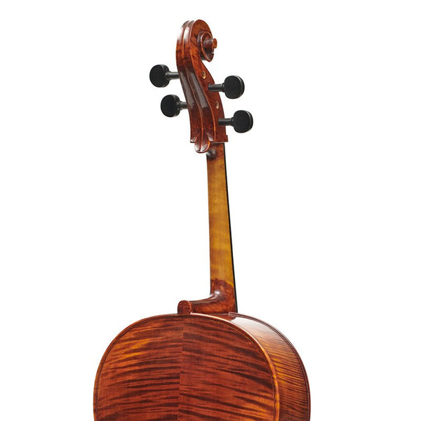 Elysia cello 'English model'