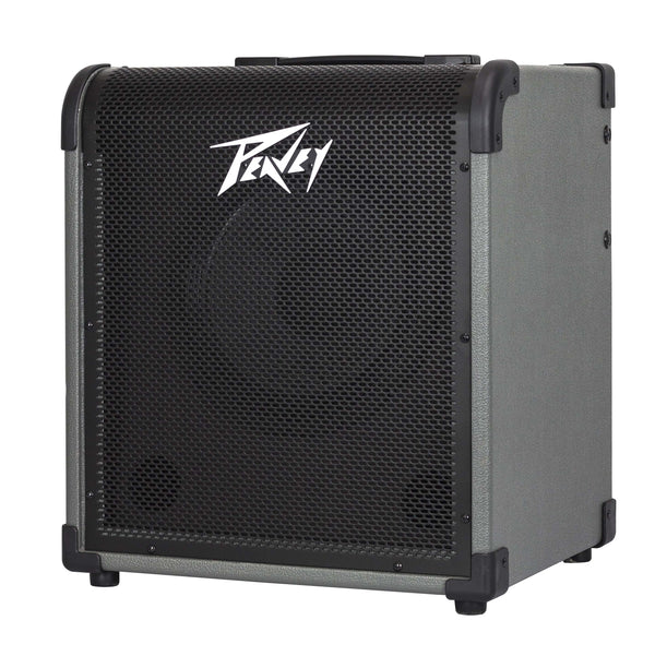 Peavey 100 Watt Bass Guitar Combo Amplifier