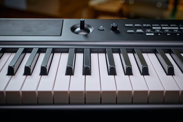 Medeli SP-A500 Portable Digital Piano
