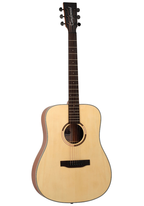 Tanglewood TS5 Dreadnought sized Acoustic Guitar