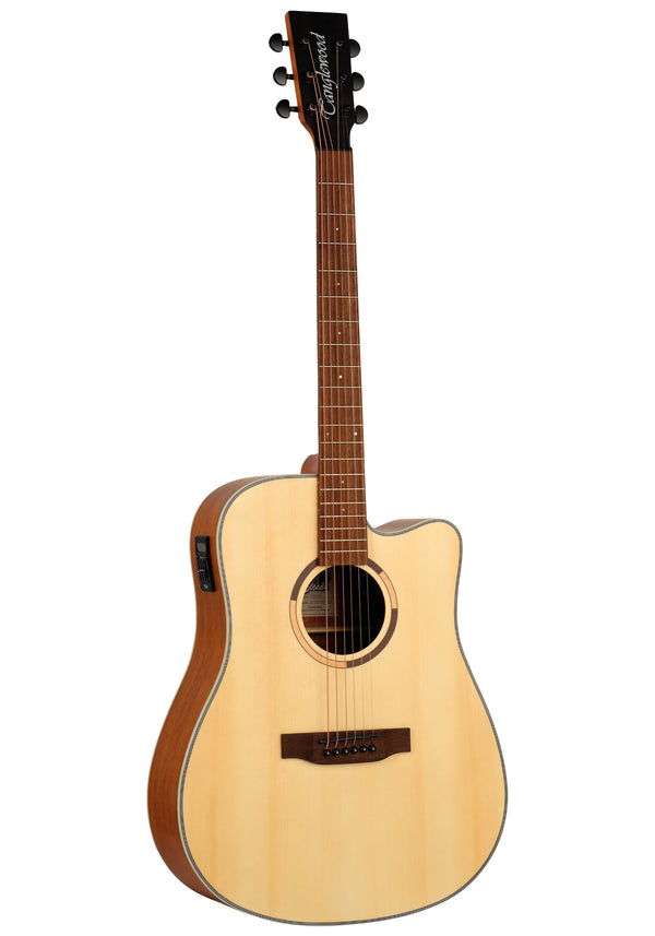 Tanglewood TS5CE Dreadnought Electro Acoustic Guitar