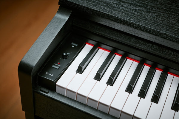 Medeli EDUCATIONAL Series Digital Upright Piano. 88 Key. Black with Package options. Black.