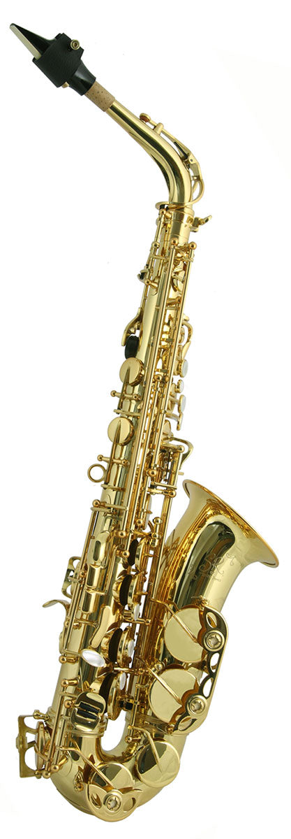 Trevor James SR Alto Sax Outfit - Bronze. Gold Lacquer Keys