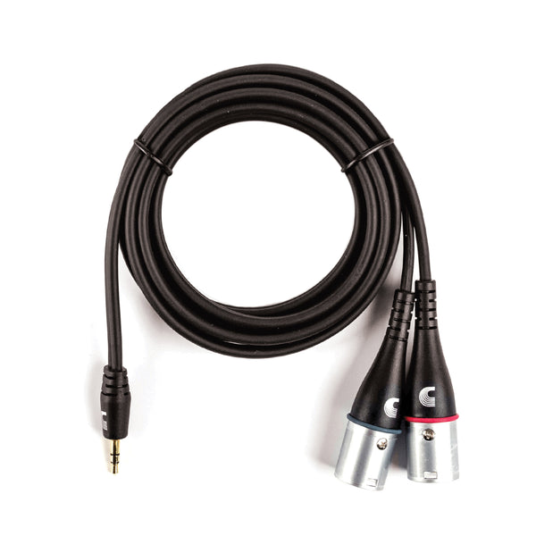 D'Addario Custom Series 1/8” to Dual  XLR Audio Cable